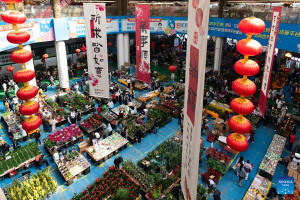 China | Mercados de flores en Kunming entran en temporada alta de ventas de flores para festivales