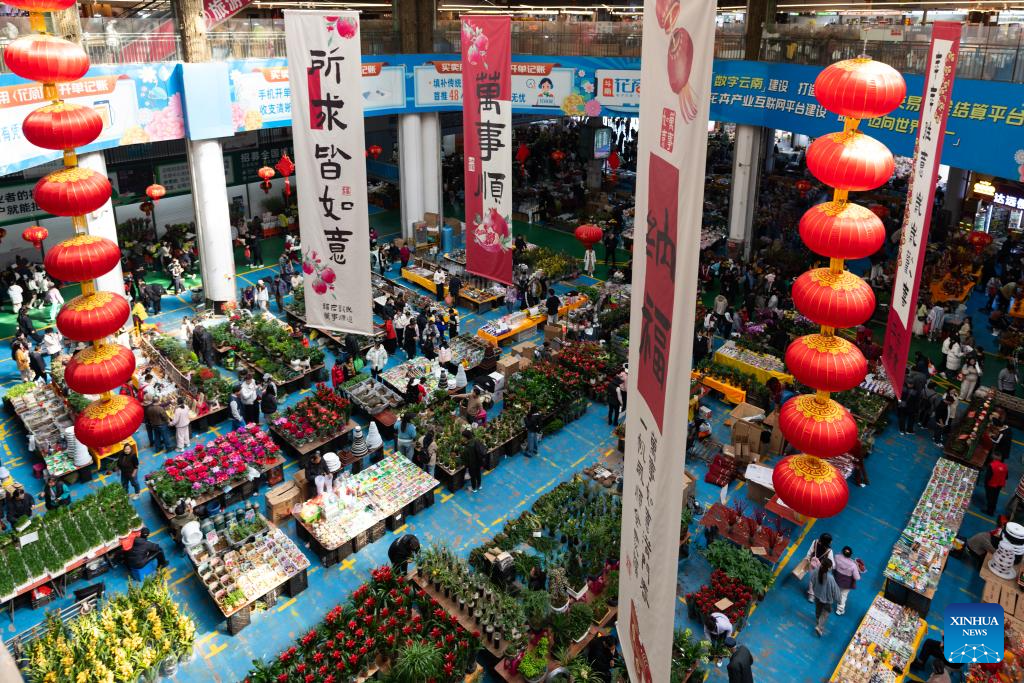 China | Mercados de flores en Kunming entran en temporada alta de ventas de flores para festivales