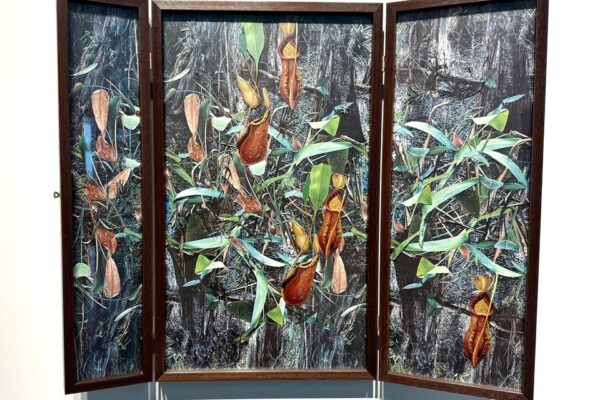 Argentina | Impresiones sobre los ciclos de la vida y la muerte | Collages de Rosana Schoijett en Malba Puertos