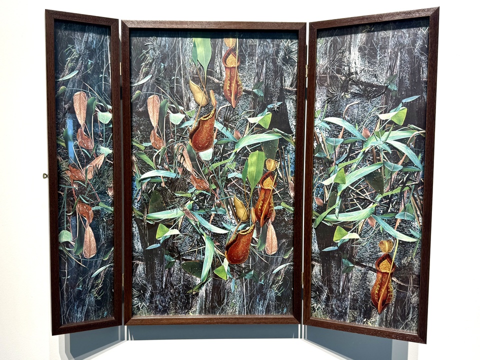 Argentina | Impresiones sobre los ciclos de la vida y la muerte | Collages de Rosana Schoijett en Malba Puertos