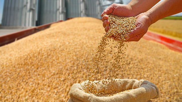 Presidente etíope asegura que su país y África pueden alcanzar seguridad alimentaria