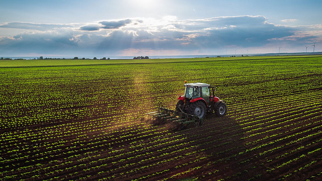 Kazajistán impulsa la diversificación agrícola para aumentar la producción