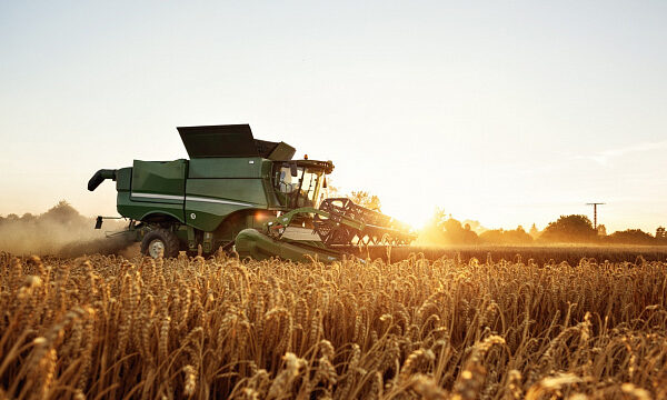 FAO resalta a Etiopía en sus avances en el sector agrícola