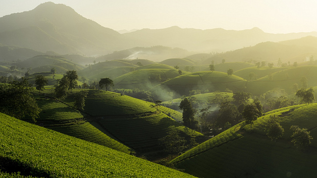 Vietnam avanza en la gestión de Reservas de la Biosfera con enfoques innovadores