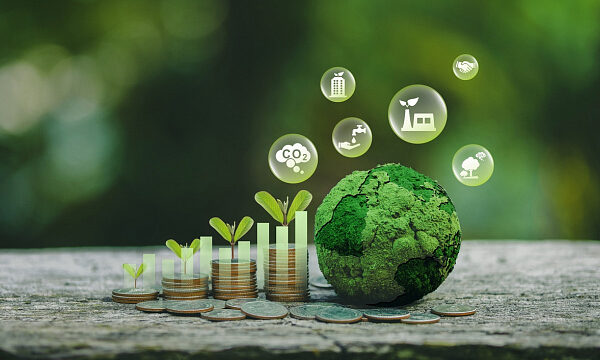 Sector bancario de Egipto avanza hacia la sostenibilidad con un fuerte compromiso ambiental y social