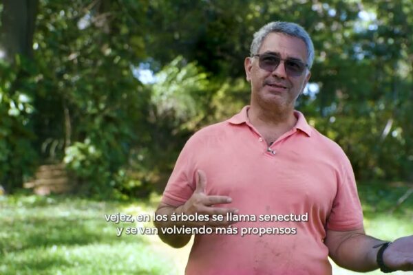 Costa Rica | Plan de reforestación contribuirá al equilibrio ecológico del campus y ofrecerá espacios al aire libre más seguros