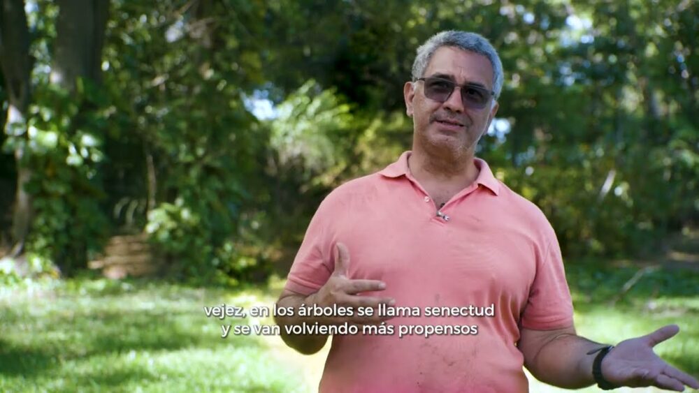 Costa Rica | Plan de reforestación contribuirá al equilibrio ecológico del campus y ofrecerá espacios al aire libre más seguros
