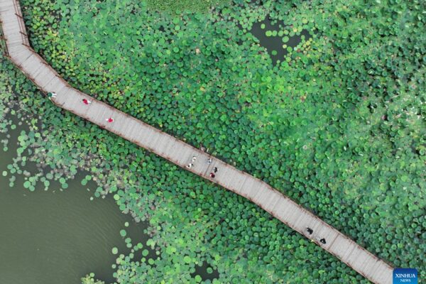 China | Desarrollo de la Nueva Area de Xiong’an
