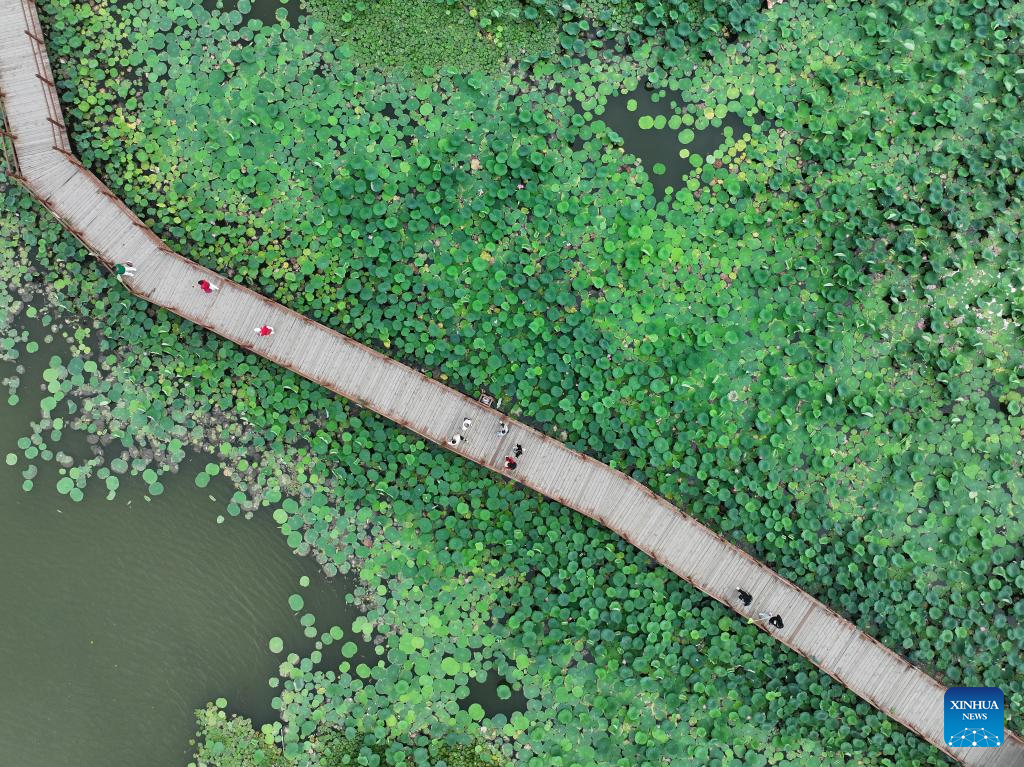 China | Desarrollo de la Nueva Area de Xiong’an