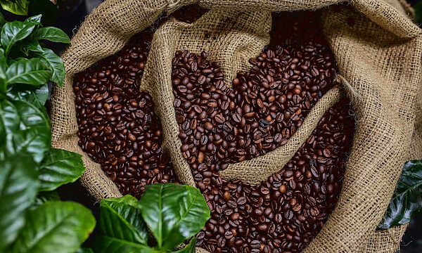 Capital de Etiopía será la sede de la 4.º Cumbre Africana del Café en 2027