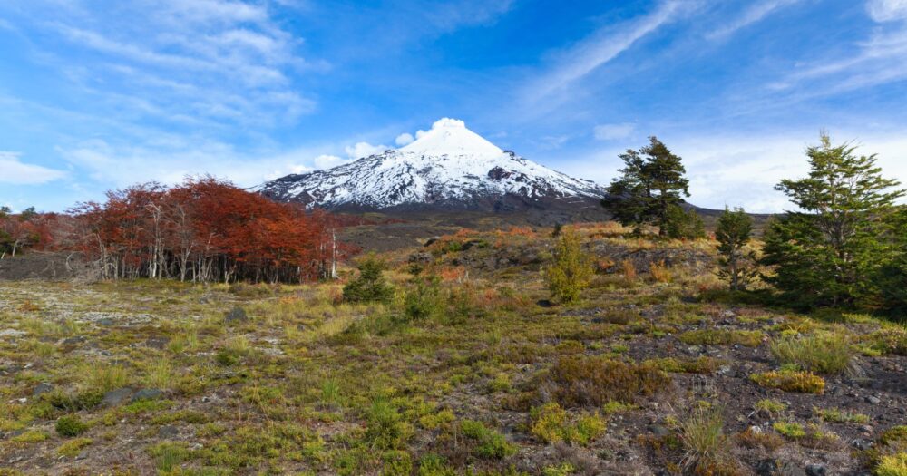 Chile | Conoce los parques y reservas gratis para el Día del Deporte