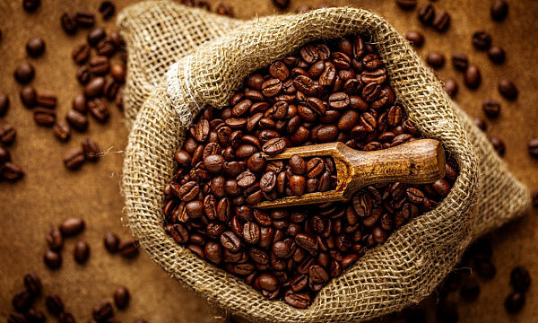 Etiopía supera los 1.200 millones de dólares en exportaciones de café Etiopía supera los 1.200 millones de dólares en exportaciones de café