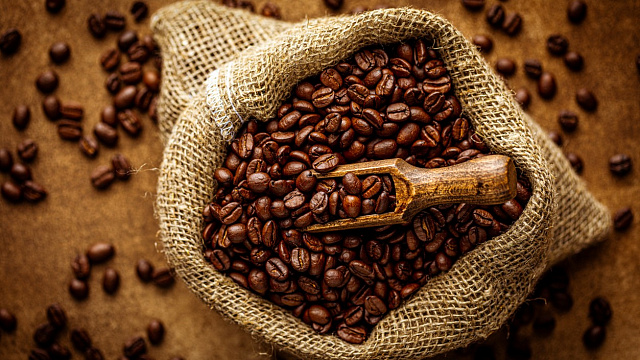Etiopía supera los 1.200 millones de dólares en exportaciones de café