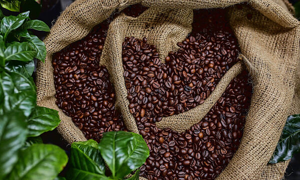 Vietnam busca alcanzar un récord en exportación de café