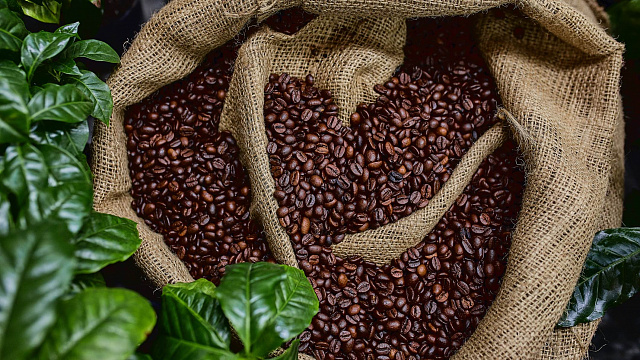 Vietnam busca alcanzar un récord en exportación de café