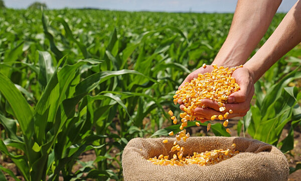 Evento del Banco Mundial sobre resiliencia alimentaria se celebra en Etiopía