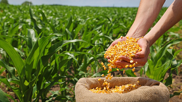 Evento del Banco Mundial sobre resiliencia alimentaria se celebra en Etiopía