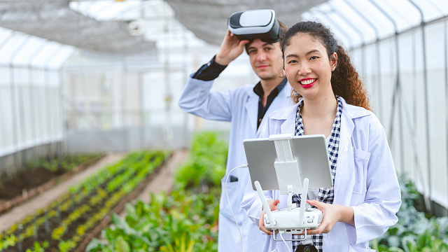 China utiliza inteligencia artificial para desarrollar nuevos cultivos agrícolas