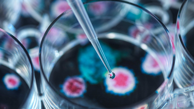 India impulsa la detección temprana del cáncer con inteligencia artificial