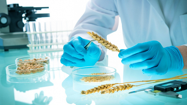 Etiopía impulsa la agricultura digital con plataforma de semillas