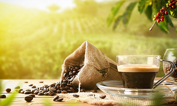Exportaciones de café de India crecen un 40% interanual