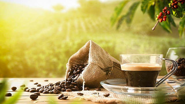 Exportaciones de café de India crecen un 40% interanual