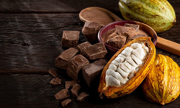Brasil atrae a los turistas con su cacao y chocolate