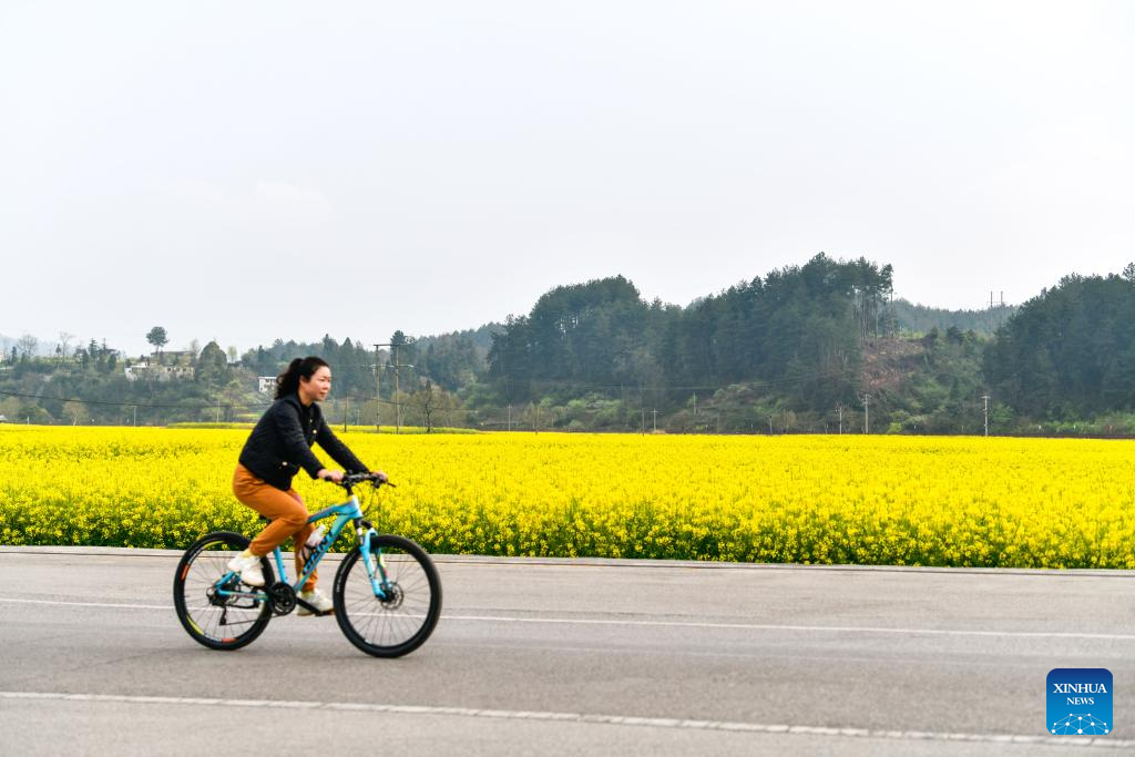 China | Provincia suroeste de China impulsa el turismo rural con la integración de agricultura y turismo