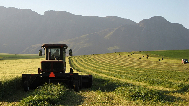 Sudáfrica plantea la exportación de productos agropecuarios al Medio Oriente