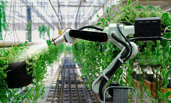 Bielorrusia y Rusia desarrollan robots para la agricultura Bielorrusia y Rusia desarrollan robots para la agricultura