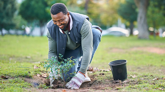 Sudáfrica planea plantar 10 millones de árboles para 2030