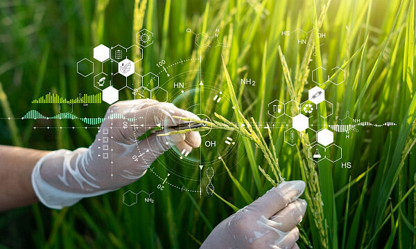 China comparte innovaciones agrícolas con Zimbabue