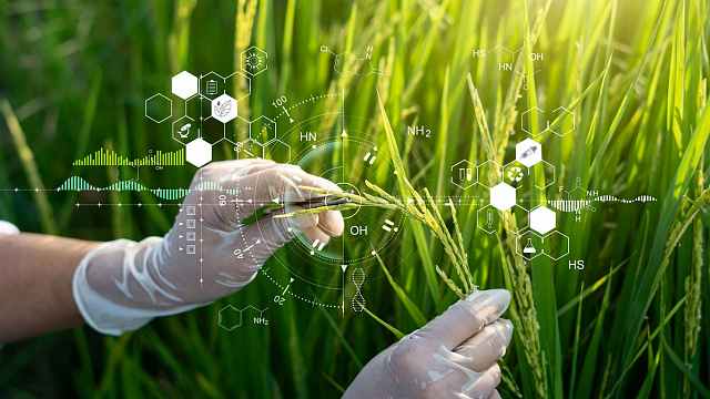 China comparte innovaciones agrícolas con Zimbabue