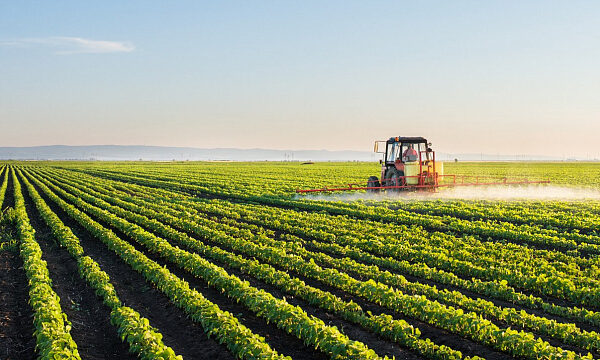 Banco Mundial destaca la agricultura de Etiopía