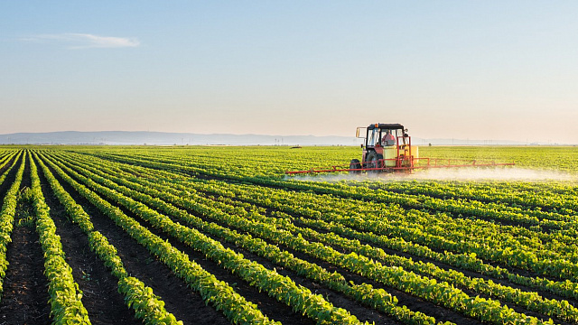 Banco Mundial destaca la agricultura de Etiopía