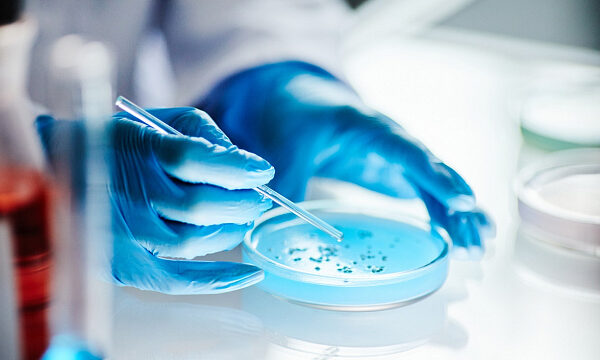 Científicos chinos desarrollan bacteria capaz de degradar 5 contaminantes orgánicos