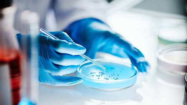 Científicos chinos desarrollan bacteria capaz de degradar 5 contaminantes orgánicos