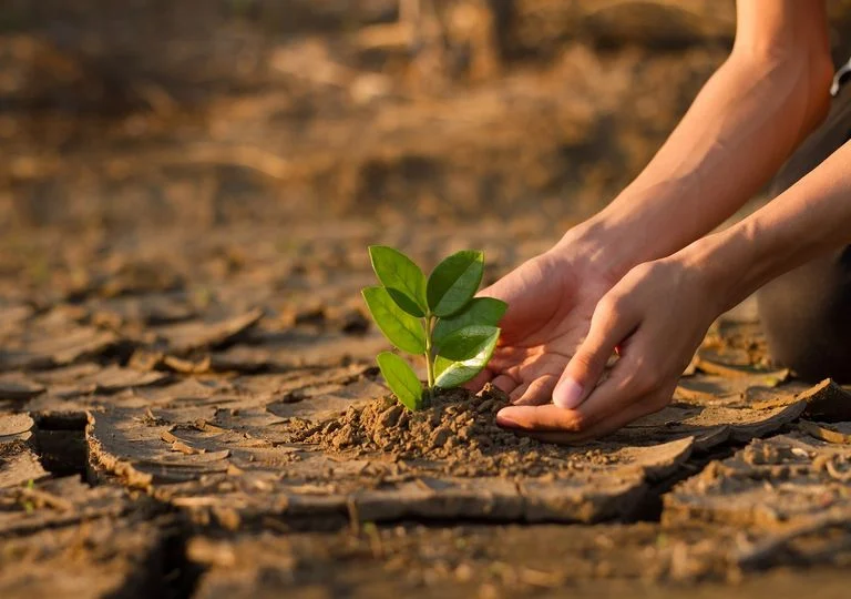Venezuela | Dictarán taller sobre cambio climático