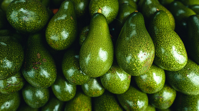 China recibe primer envío de aguacates de Sudáfrica