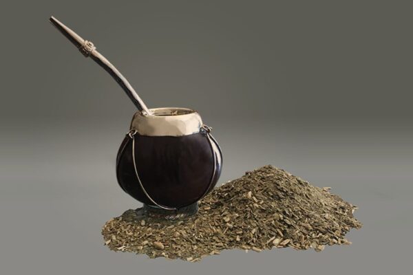 Argentina | Especialistas del CONICET descifraron el genoma de la yerba mate Argentina | Especialistas del CONICET descifraron el genoma de la yerba mate