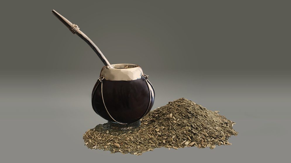 Argentina | Especialistas del CONICET descifraron el genoma de la yerba mate