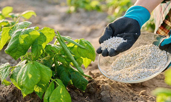 Indonesia busca fortalecer cooperación con Bielorrusia en fertilizantes potásicos