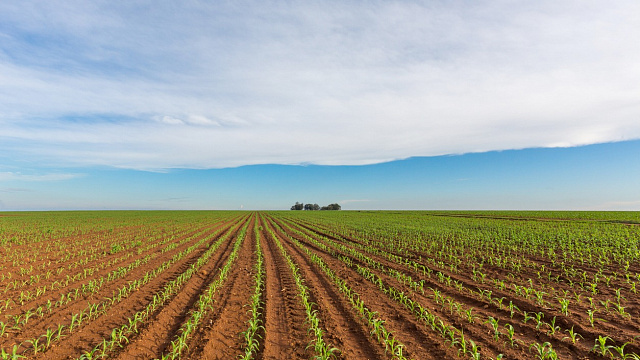 Sudáfrica desarrolla sus exportaciones agrícolas e impulsa participación juvenil