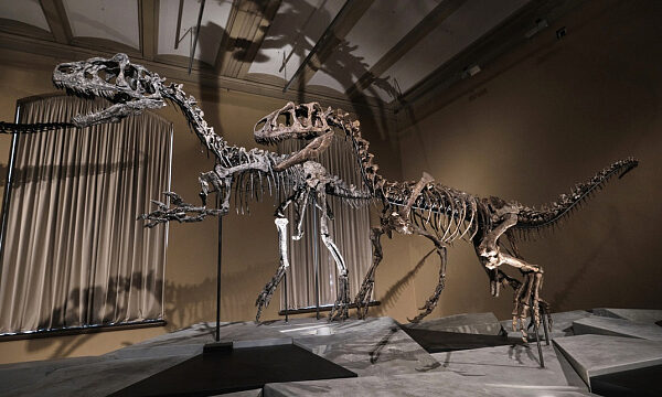 Sudáfrica inaugura su primer Centro de Interpretación de Dinosaurios