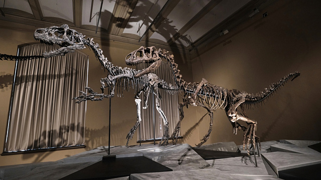 Sudáfrica inaugura su primer Centro de Interpretación de Dinosaurios
