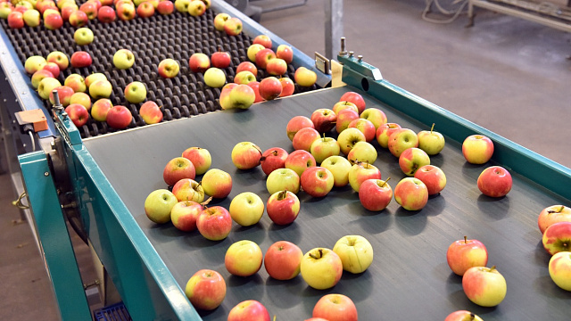 Bolivia impulsa el desarrollo rural con nueva planta frutícola