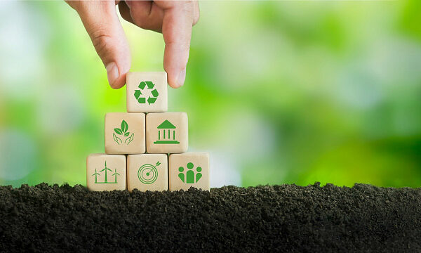 Etiopía se perfila como modelo de industrialización verde en África