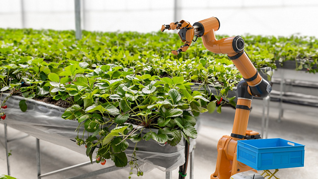 Kazajistán acelera la transformación digital del sector agropecuario con inteligencia artificial