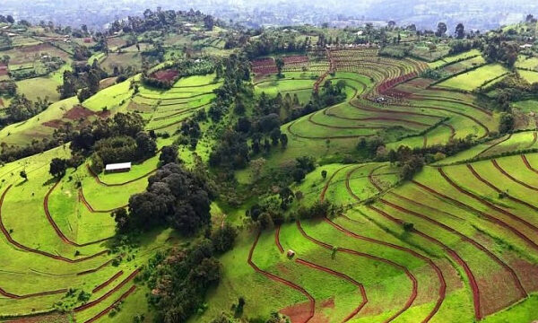 Etiopía geoetiquetará 750.000 sitios para una campaña nacional de reforestación