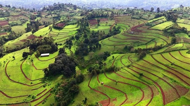 Etiopía geoetiquetará 750.000 sitios para una campaña nacional de reforestación